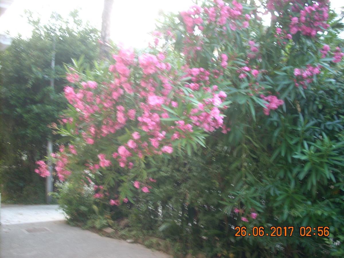לובראן Apartment At Sea מראה חיצוני תמונה